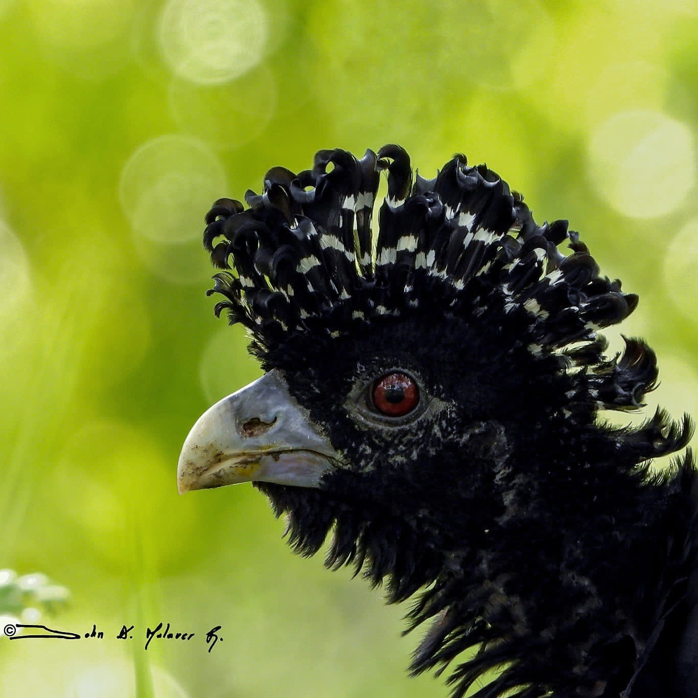 3c497494-8693-4a28-9e13-33c21be9ff61