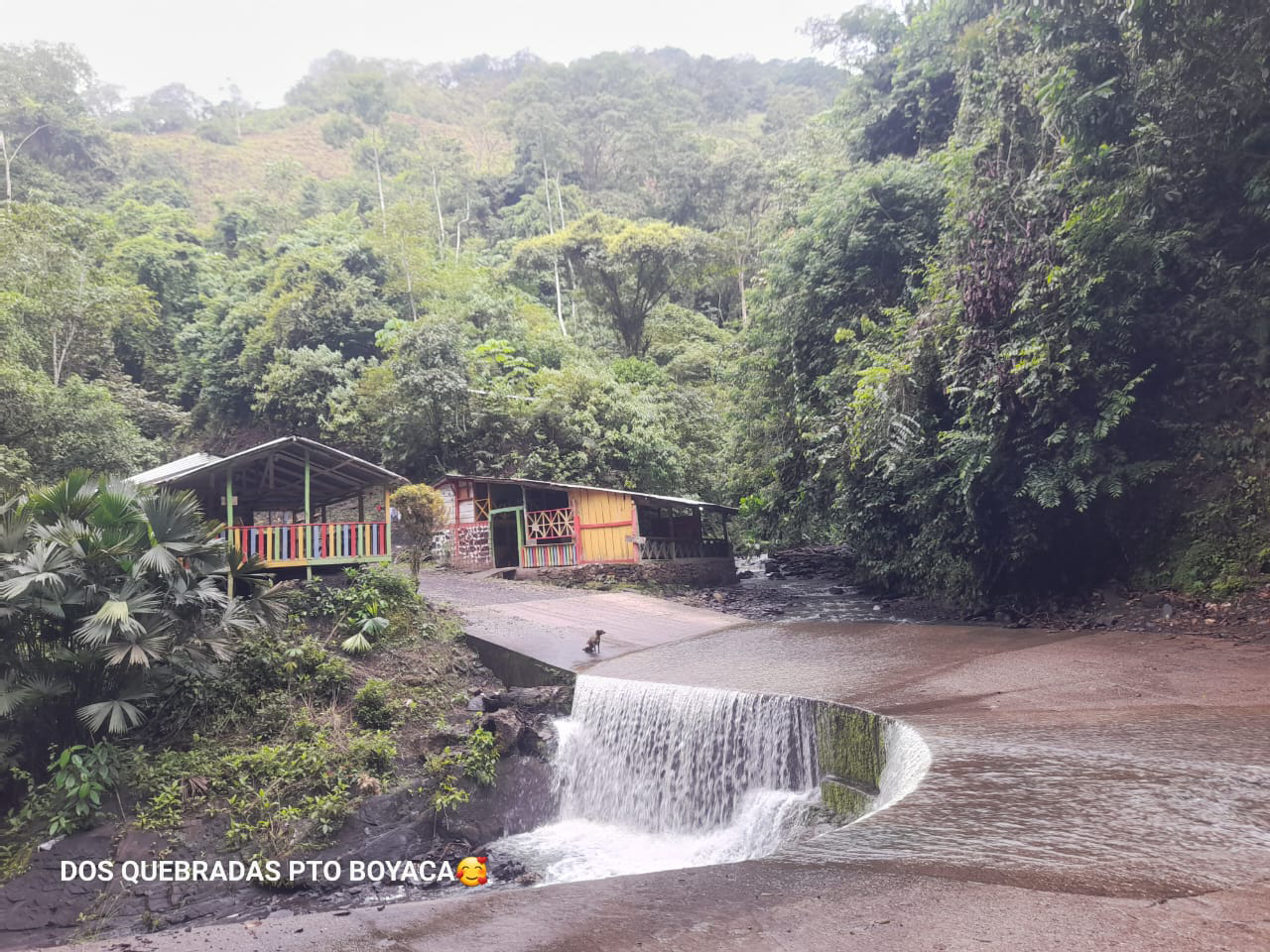 a5af69c1-5caf-4e77-84d1-2f39b986bd78